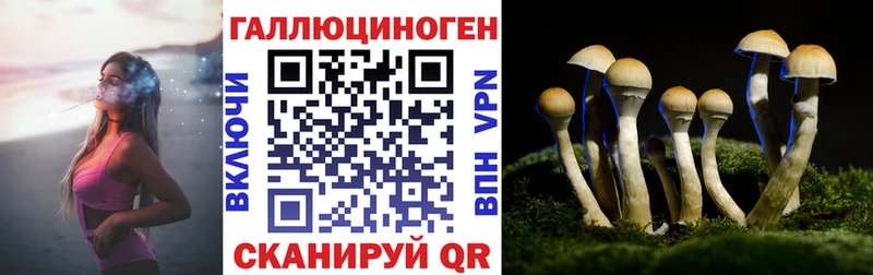 Псилоцибиновые грибы мицелий  Купить  Хадыженск 